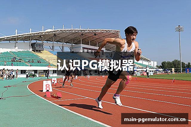 认识PG模拟器